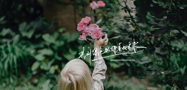 Taizhou Anda Nonferrous Metals Co., Ltd. 